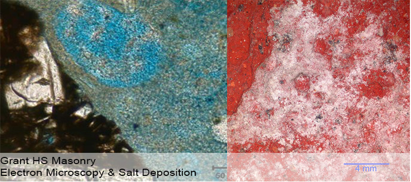 grant-hs-electron-microscopy-salt-deposition